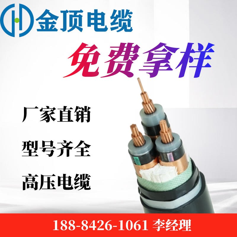 四川高压电缆厂家 中亚电缆 铜电缆 国标电缆 3X95 YJV电缆