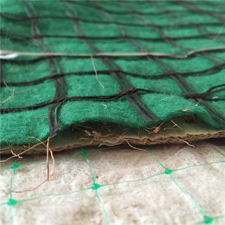 椰丝植被毯 供应新疆椰丝毯厂家 供应鼎诺绿化护坡椰丝植被毯 厂家供应
