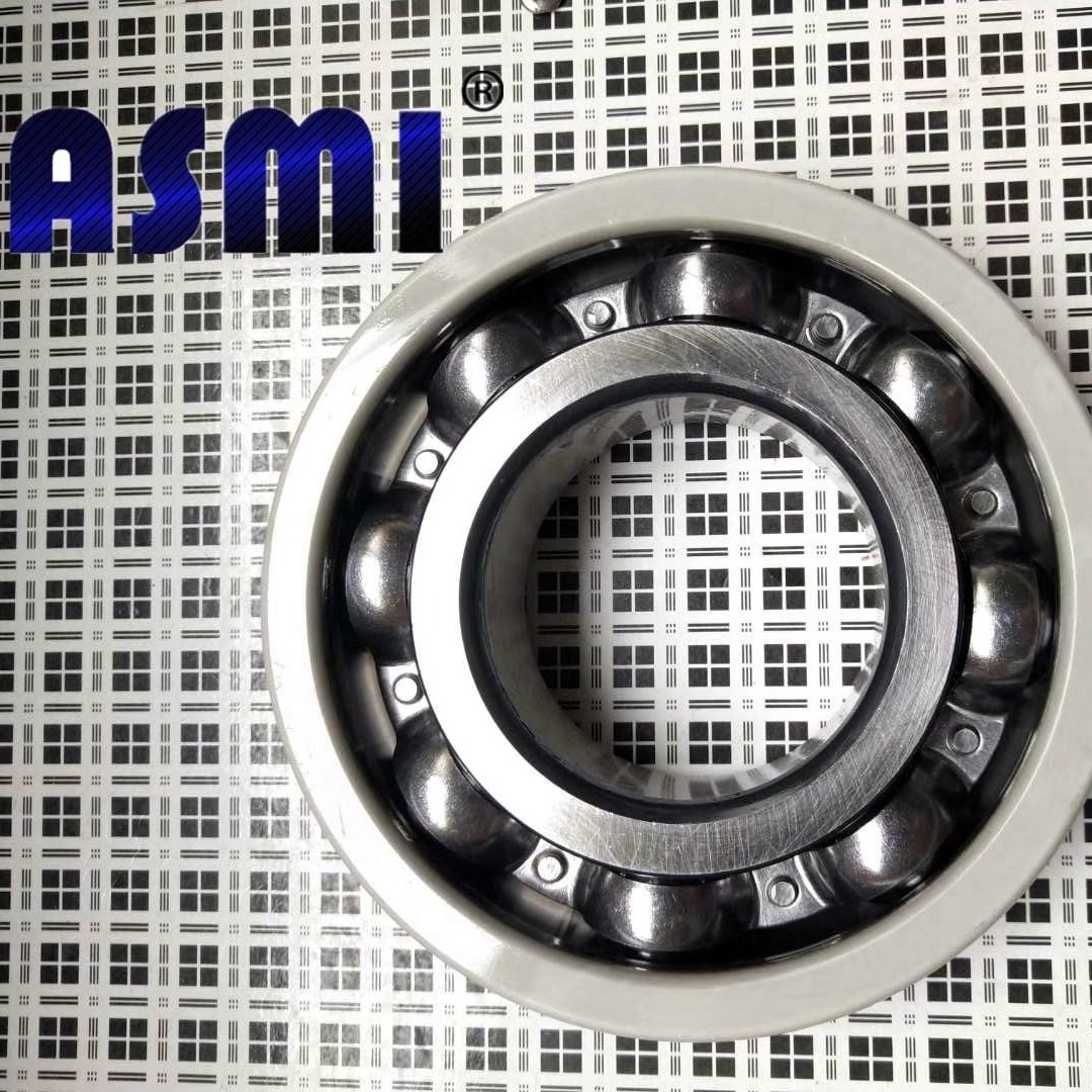 ASMI电绝缘轴承 混陶瓷轴承 耐酸碱  高转速耐高温轴承型号6310 6311 6312 6313 6314 6315图片