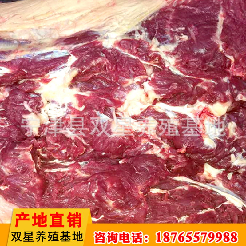 蒙古进口鲜马肉 活马屠宰脖头肉产地直销 天然食品新鲜马肉示例图19