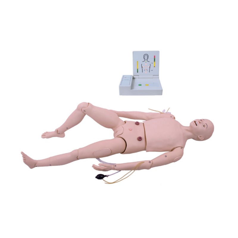 成人护理及CPR模型人实训考核设备   成人护理及CPR模型人实训装置      成人护理及CPR模型人综合实训台图片