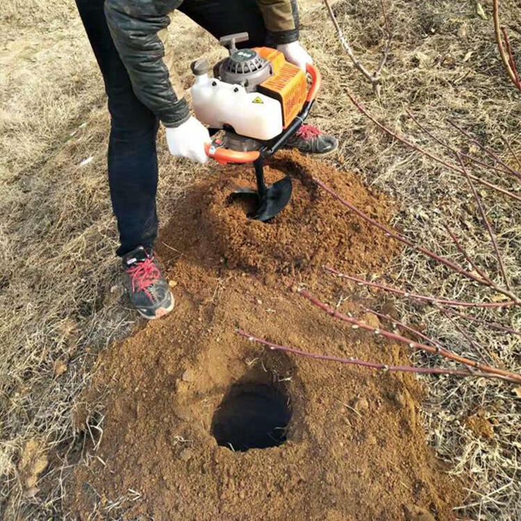 硬质土层手扶式式地钻打洞机  汽油挖坑机    福泽盛达牌种树打孔机