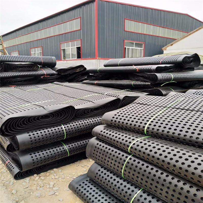 排水板厂家直销地下车库顶板用卷材排水板屋顶绿化用塑料蓄排水板