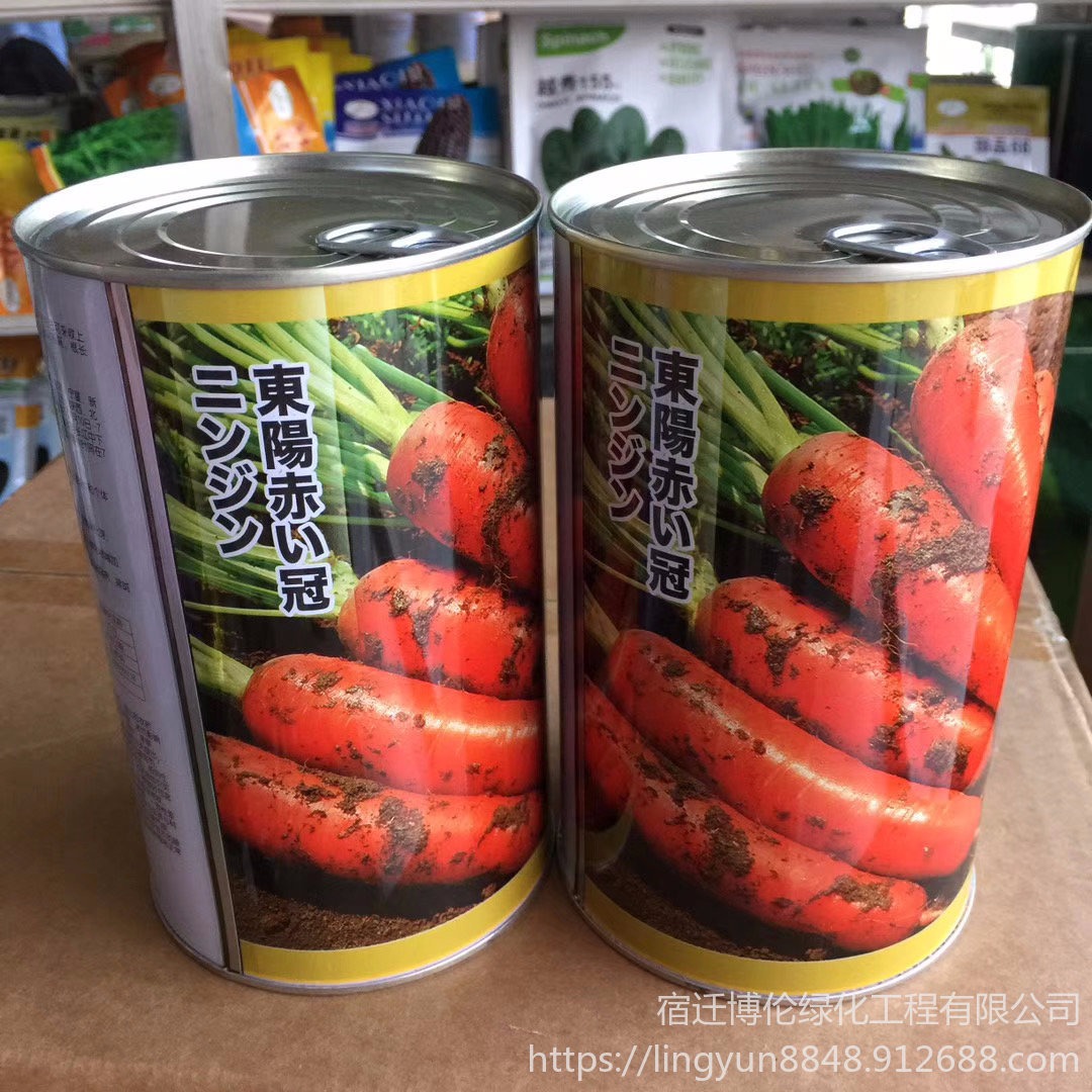 进口杂交胡萝卜种子 四季胡萝卜种子价格 高端欧蓝德种子 杂交胡萝卜种子厂家批发 支持货到付款