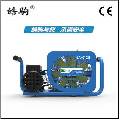 上海皓驹厂家生产  NA·X125德国型高压空气充填泵 空呼充气泵 125L空气压缩机