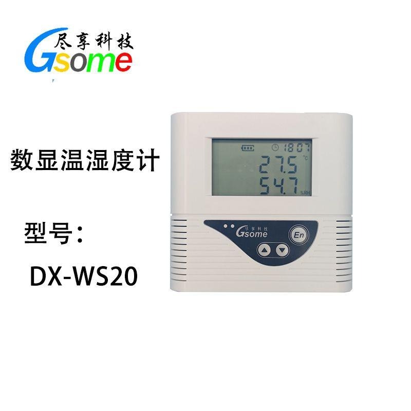 温湿度计DX-WS20 传感器内置 车间仓库档案室冰箱 尽享科技