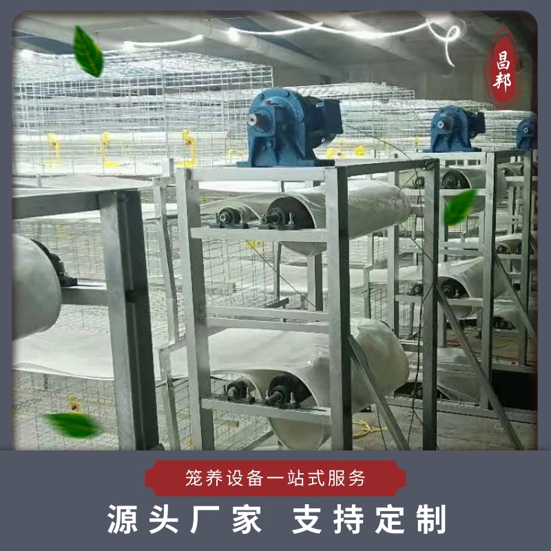 肉鸡养殖笼具厂家 加粗肉鸡笼 昌邦 自动化框架笼 送货上门