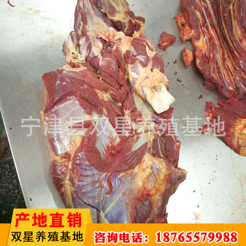 厂家进口蒙古马肉 传统美味食品马后腿肉现场现杀冷冻批发示例图16