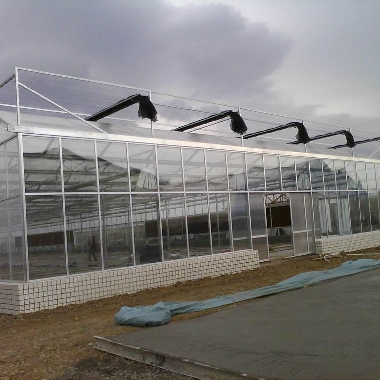 博伟 温室大棚建造生态玻璃温室大棚 恒温玻璃温室 自动化玻璃温室