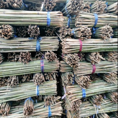 京西竹业 2米-3米豆扦 豆竿批发 2米-2米5豆角架 江西竹杆厂家发货图片