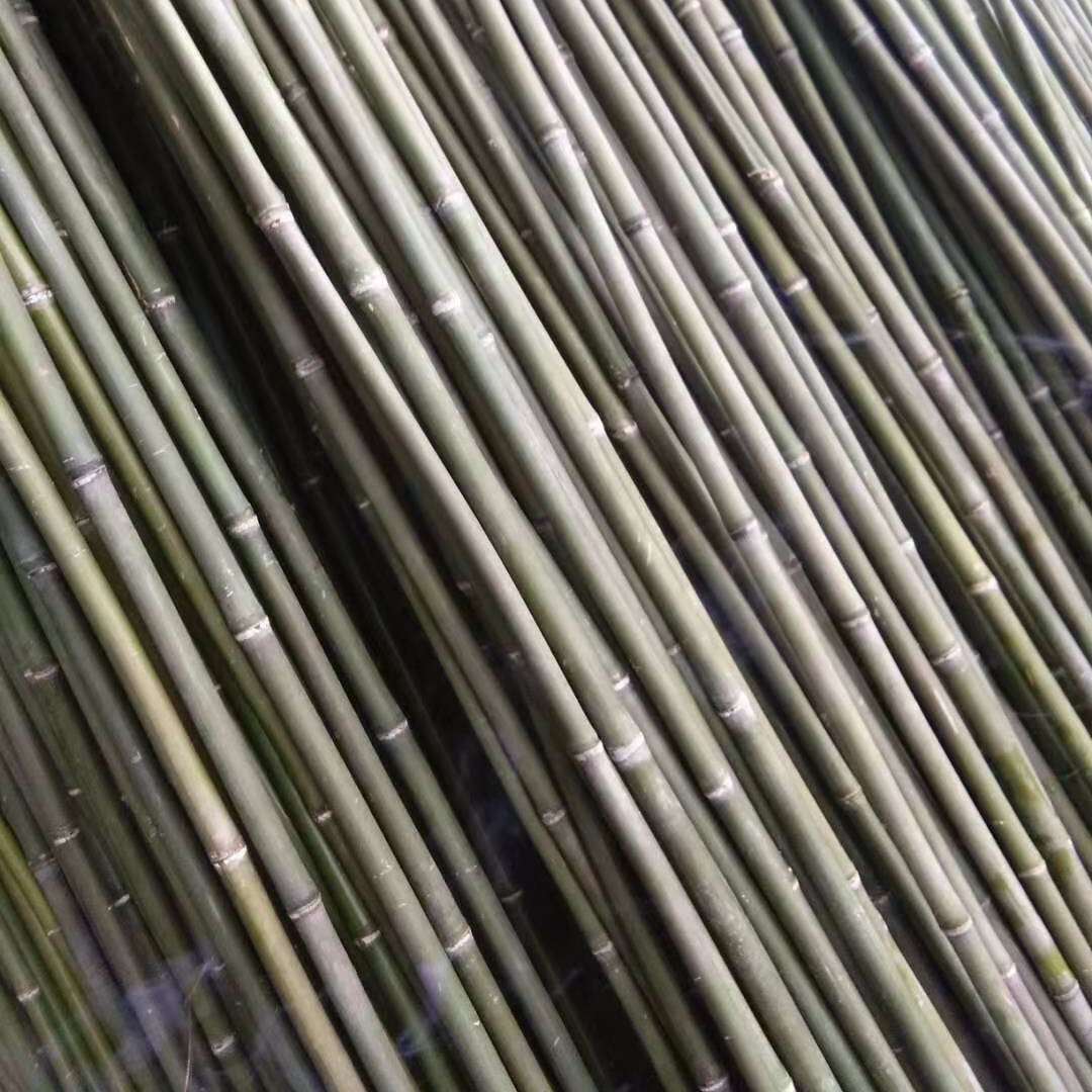 崔琦竹木菜架竹厂家 豆角架拇指竹用于花果蔬菜搭架爬藤用竹秆 规格可定制图片