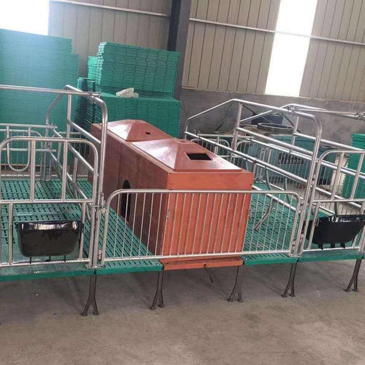 母猪产床 云南双体猪产床 养猪设备 定位栏 全国直销 爱达供应 母猪双体分娩床