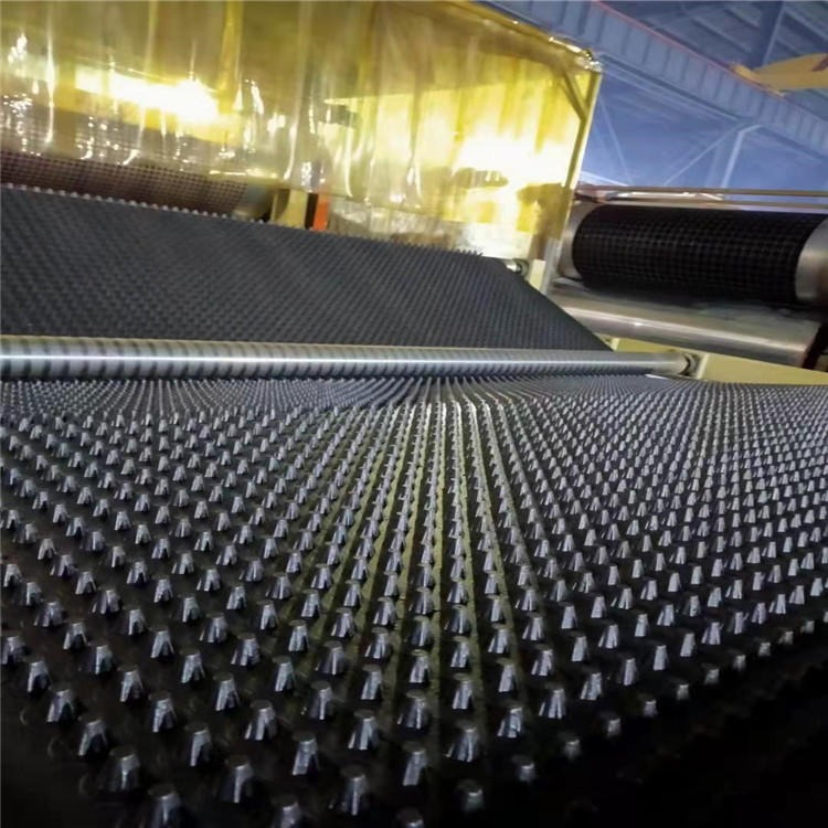 鼎诺卷材排水板 塑料卷材排水板生产厂家江苏