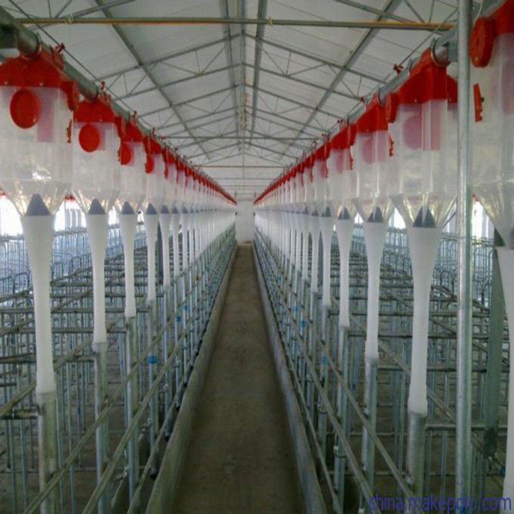 猪用自动化料线 育肥猪料线 自动供料系统 世昌畜牧图片