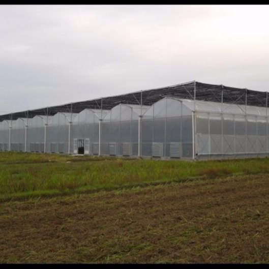 潍坊建达温室 农业现代温室 薄膜新型温室大棚 农业大棚 连体薄膜温室图片