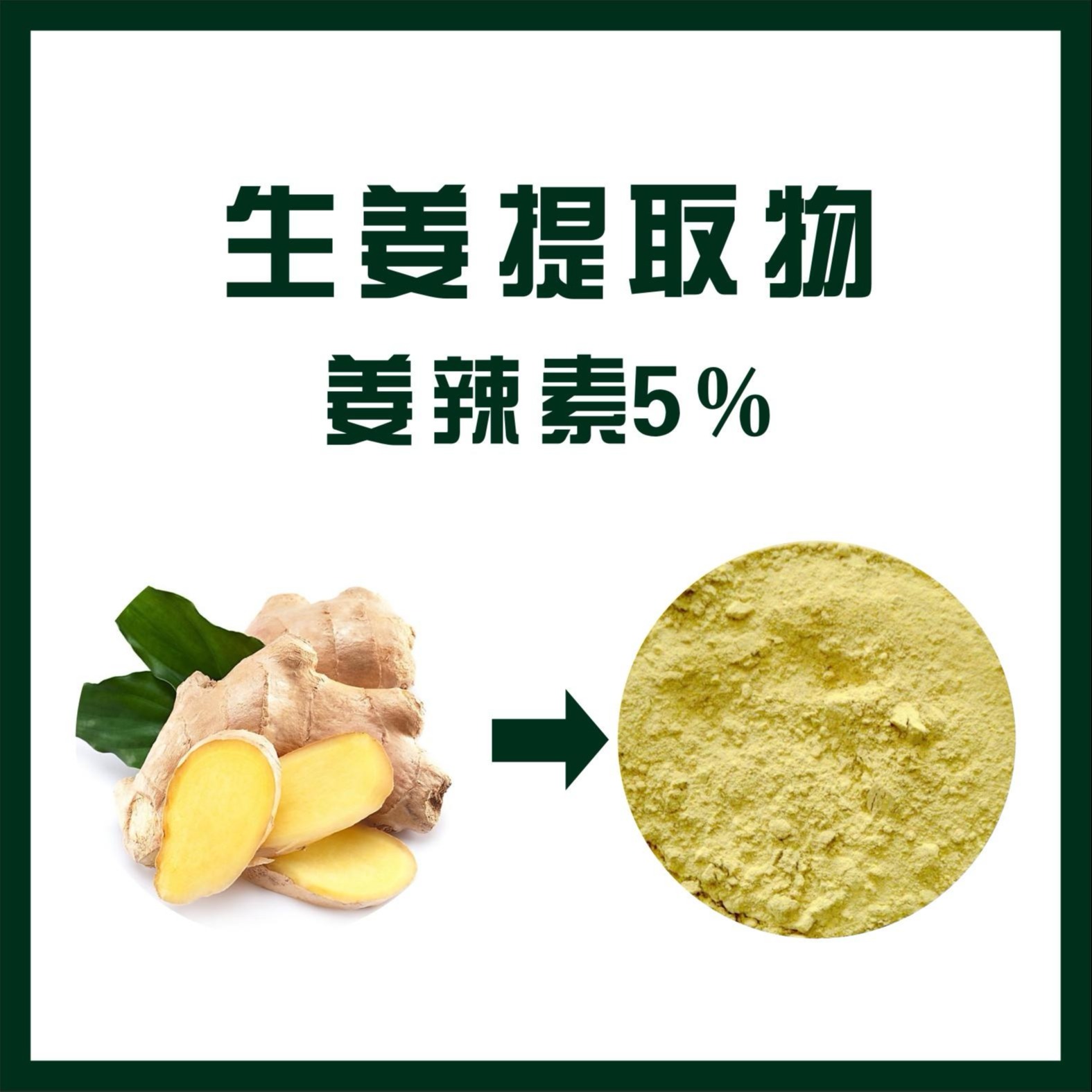 生姜提取物  姜辣素5%  植物提取物 生姜粉 水溶性生姜粉 生产厂家现货供应