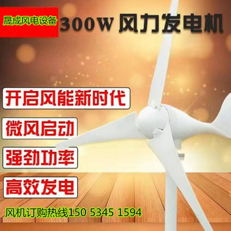 青岛定制3千瓦风力发电机220v低速永磁发电机防雷击耐老化示例图5
