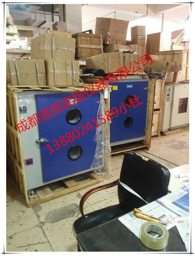 泸州电热恒温鼓风干燥箱 成都干燥箱批发公司 干燥箱生产厂家示例图6