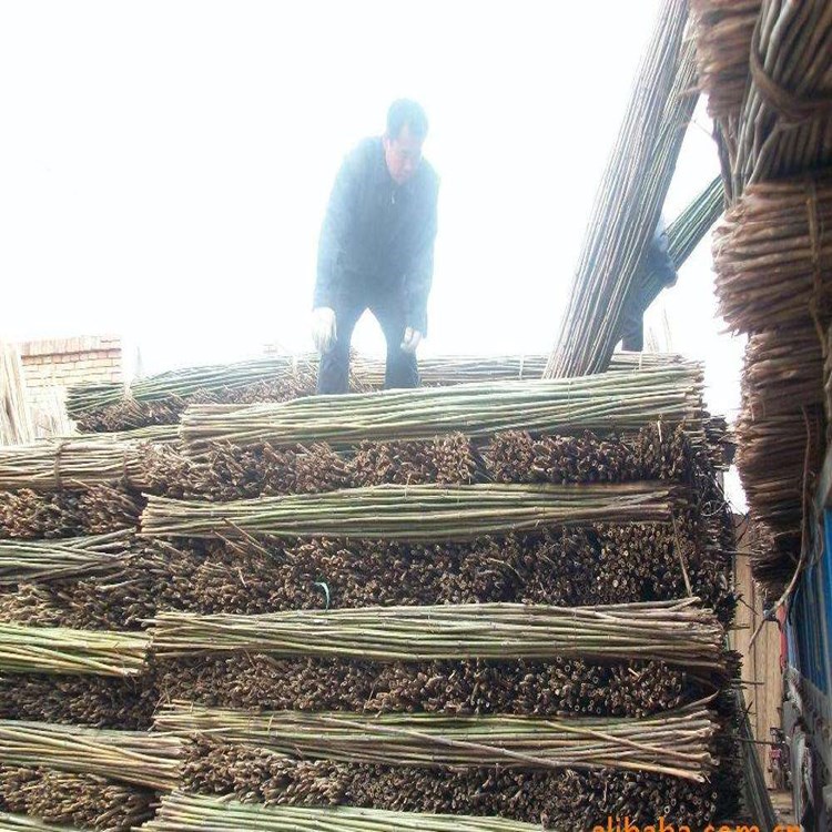 竹棍厂家  竹圆棒  庭院装饰篱笆竹  围栏竹子