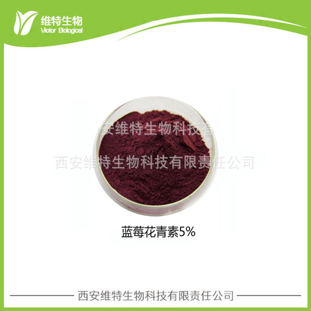维特生物 蓝莓提取物 花青素5% 蓝莓粉现货供应