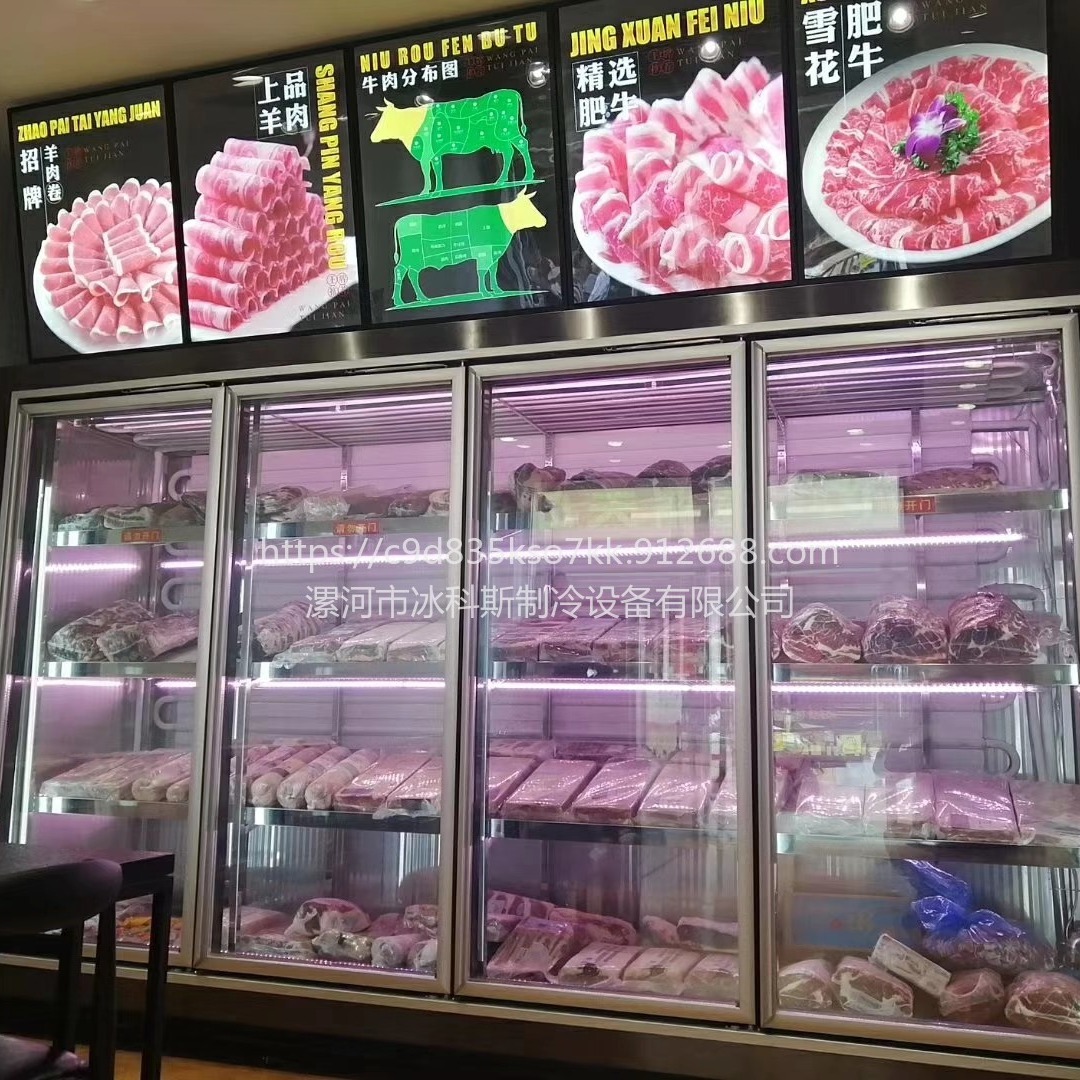 深圳牛肉熟成柜 小型牛肉柜 羊排排酸柜价格 未来雪冷柜 工厂定制  未来雪冷柜 WLX-NR-93