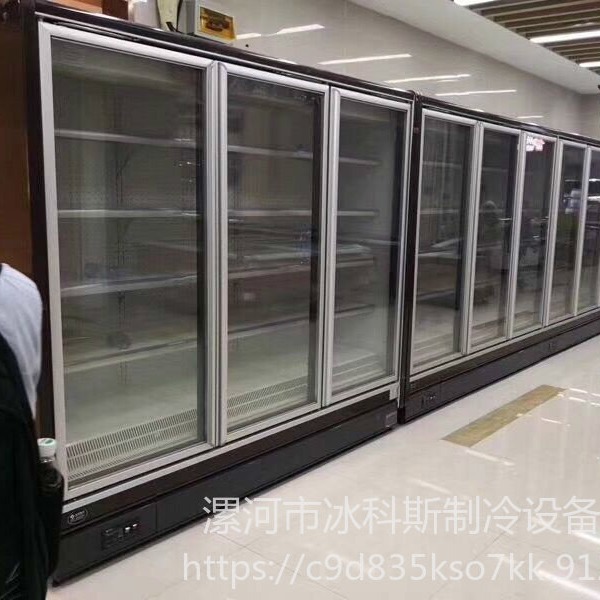 冰科斯-WLX-LSLD-30超市冰淇淋冷冻柜，雪糕冰棒展示柜立式，聊城冷柜价格