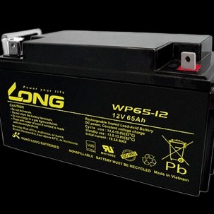 厂家直销广隆蓄电池WP65-12 广隆12V65AH 铅酸免维护电池 储能应急电池