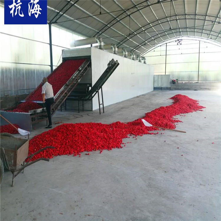 杭海机械 连续式 网带 果蔬烘干机 生产厂家