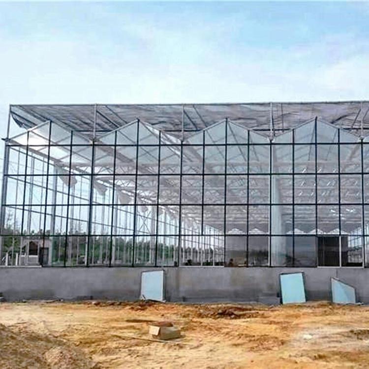 跨度10.8米玻璃温室大棚  玻璃温室大棚  玻璃温室建设  博伟