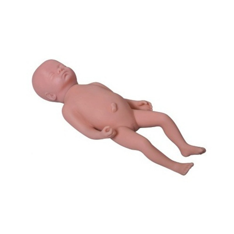 足月胎儿模型实训考核装置  足月胎儿模型实训设备 足月胎儿模型综合实训台图片