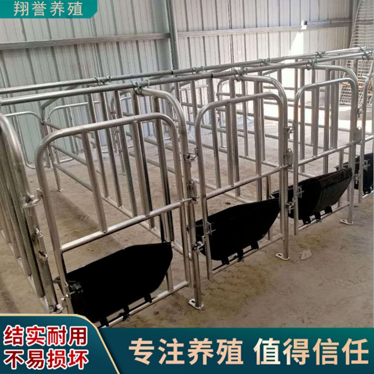 母猪定位栏 定位栏尺寸 养猪设备定位栏生产厂家出售 翔誉