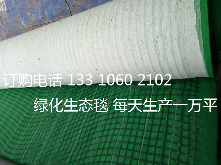 植物纤维毯 抗冲生物毯 环保草毯 椰丝毯边坡修复 植被毯 cf网 膨润土防水毯厂家