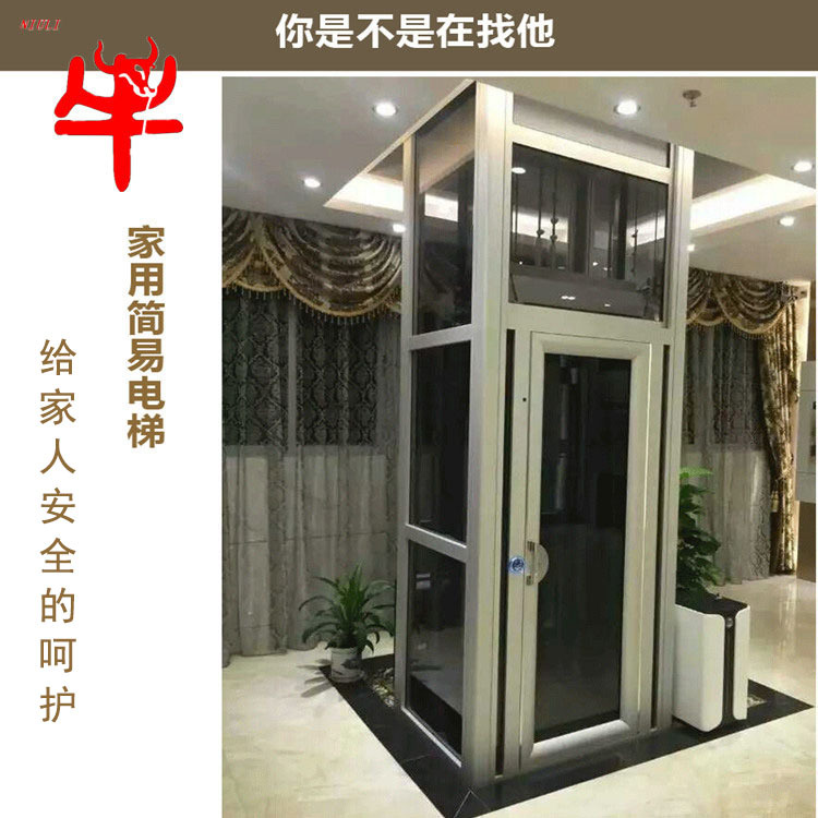 别墅电梯复式室内家用小型电梯升降平台二层三层四层观光电梯定做示例图7