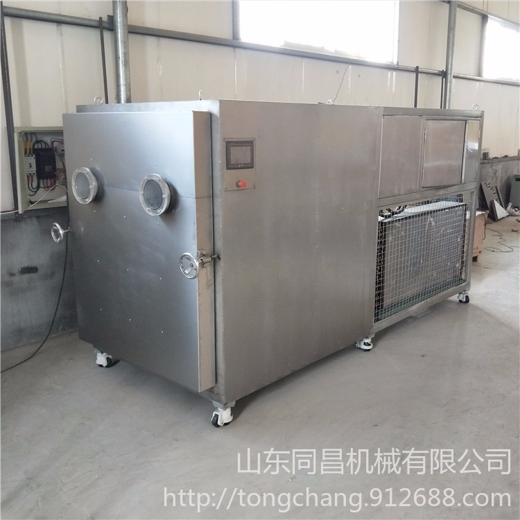 30平真空冷冻干燥机  食品冻干机宠物冻干机现货 	冷冻干燥机厂家
