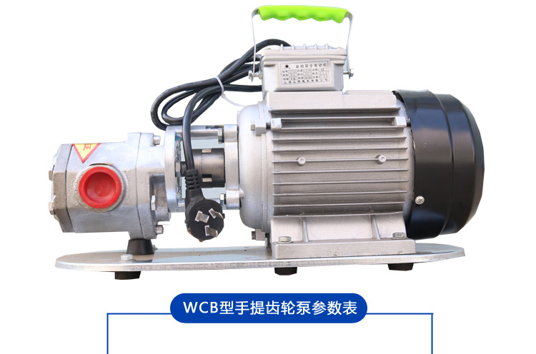 供应WCB不锈钢304手提式齿轮油泵 WCB50单项220V铜芯便携齿轮泵示例图11