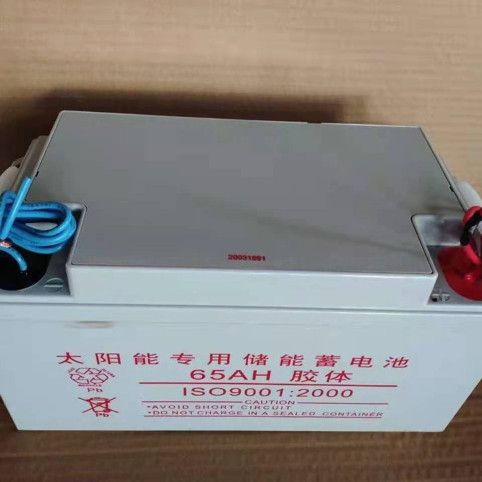 蓄电池WD65-12 铅酸免维护电池12v65AH 通信用 EPS电源 直流屏电池