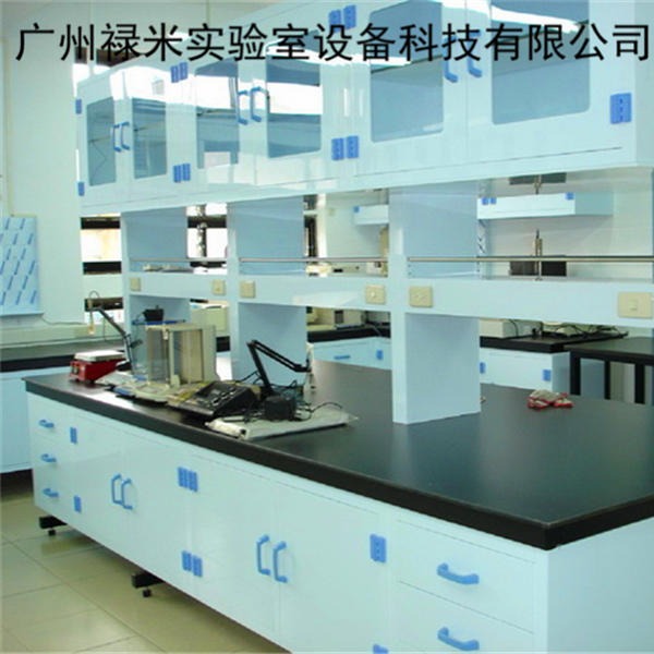禄米实验室专业生产PP实验台 PP结构实验台厂家直销价格 任意定制尺寸LUMI-SYT0715S