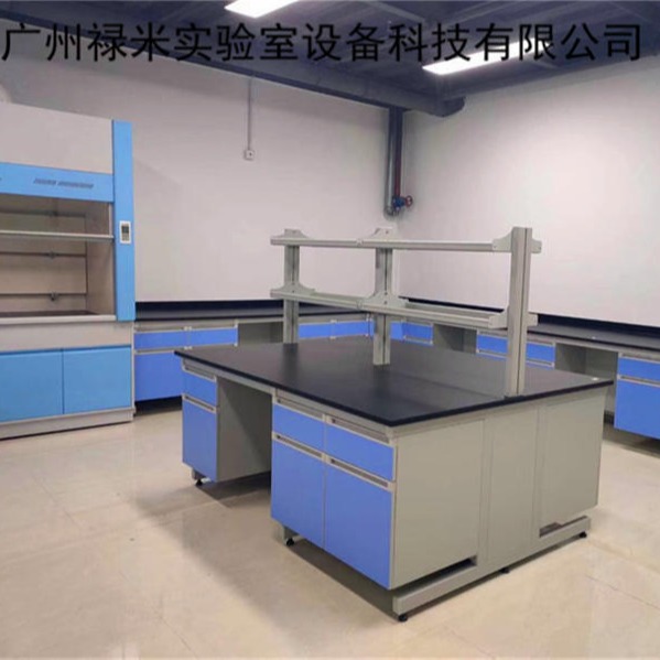 禄米 实验台 实验桌 钢木实验台 操作台 边台  台 实验室家具定制LM-SYT32705