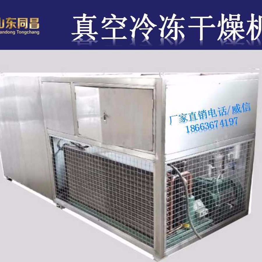 现货供应真空冻干机设备机器	10平方真空冻干机	桑葚水果脆片冷冻干燥机