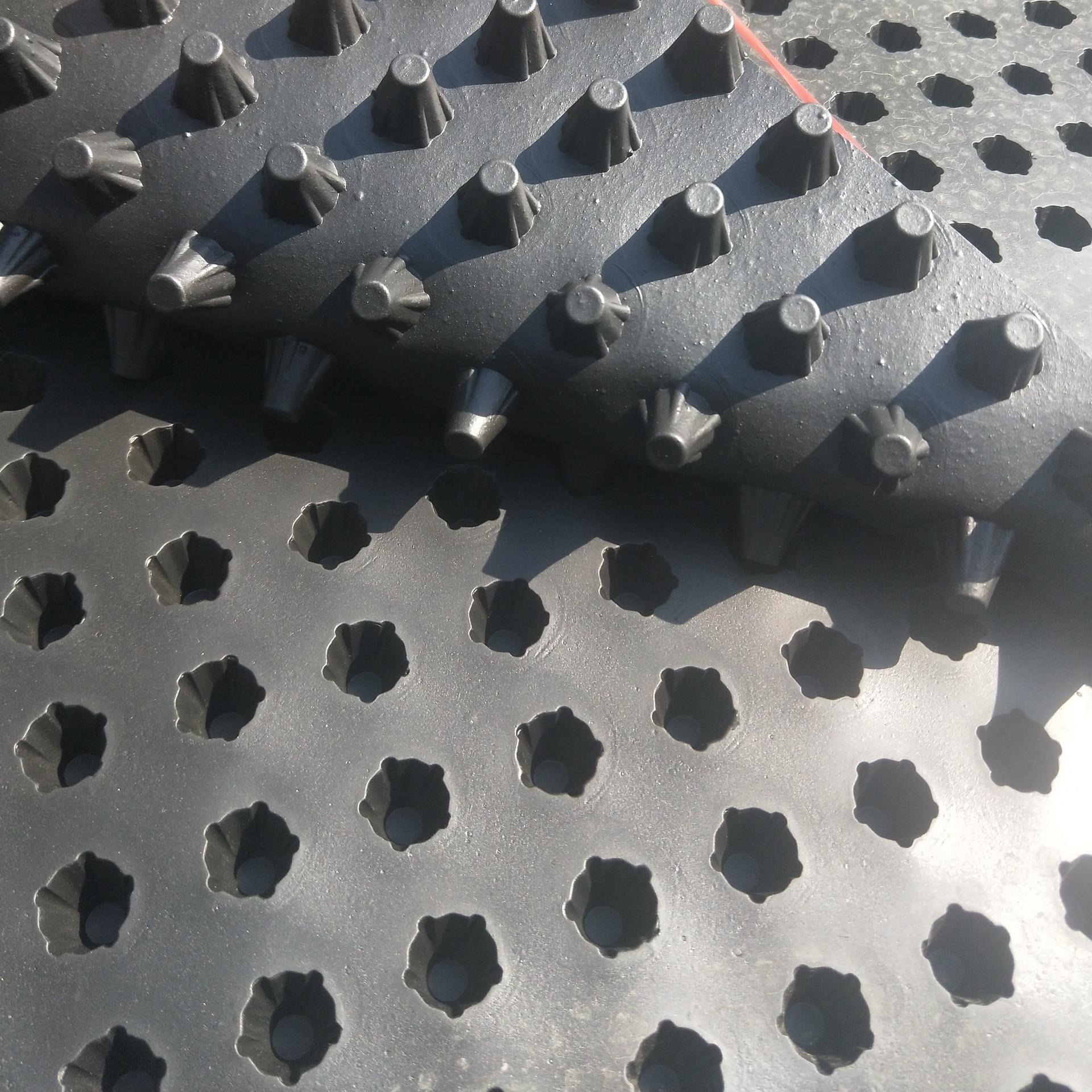渭南种植绿化排水板延安塑料凹凸状滤水板铜川车库顶板排水板厂家