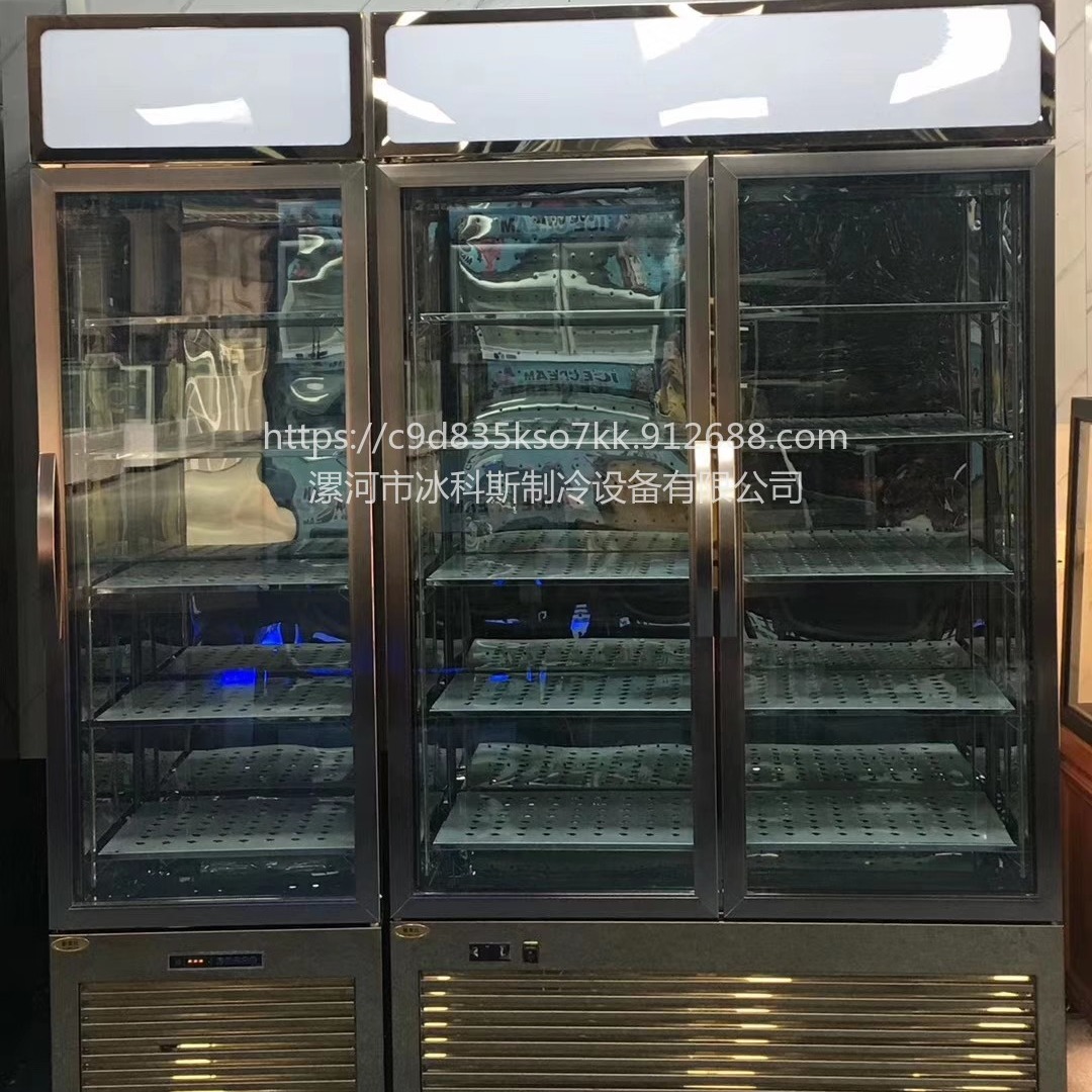 广州牛肉熟成柜 小型牛肉柜 羊排排酸柜价格 未来雪冷柜 工厂定制  未来雪冷柜 WLX-NR-92