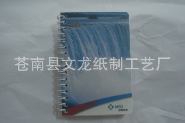 批发供应WL-L-1027优质线圈硬壳笔记本 优质销售笔记本练习本