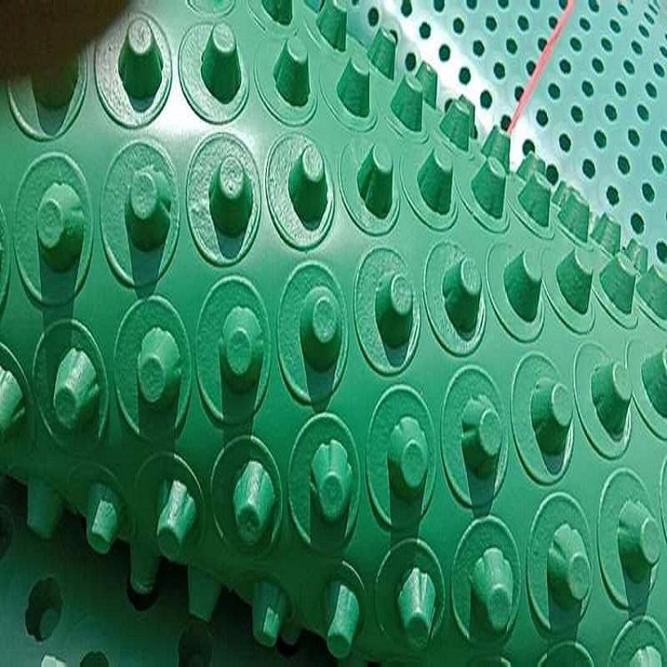 济宁排水板厂家 排水板价格 屋面种植滤水板 济宁塑料排水板 2公分高蓄排水板