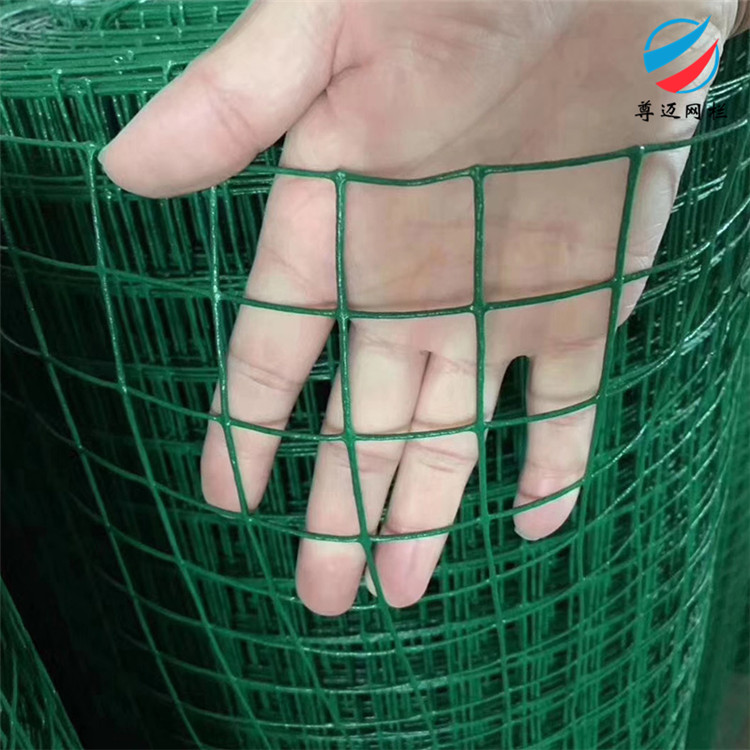 河北浸塑荷兰网 浸塑绿色铁丝网 养鸡网防护网厂家