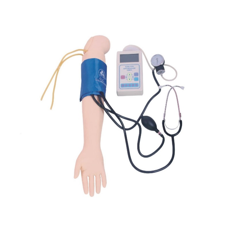 手臂血压测量训练模型实训考核设备       手臂血压测量训练模型实训装置        手臂血压测量训练模型综合实训台