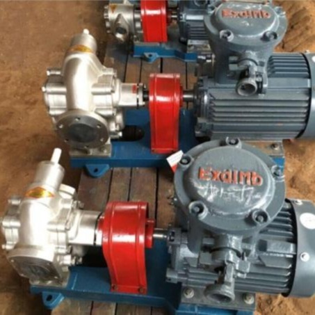 不锈钢齿轮泵  鸿海泵业 KCB200不锈钢齿轮油泵 支持定做