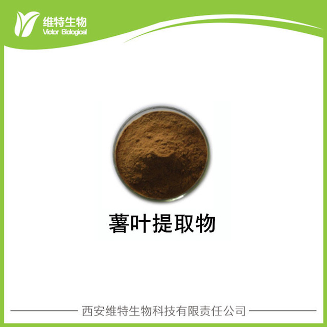 番薯叶提取物10:1 Sweet potato Leaf Extract 红苕叶提取粉