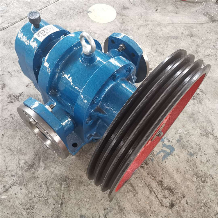 华海泵业 LC38/0.6高粘度罗茨泵 加工定制无泄漏罗茨泵