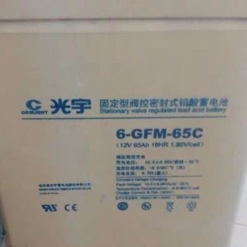 光宇蓄电池6-GFM-65C 光宇12V65AH蓄电池报价 光宇铅酸免维护蓄电池价格