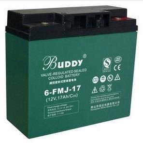 BUDDY蓄电池6-GFM-12宝迪12V12AH销售促销
